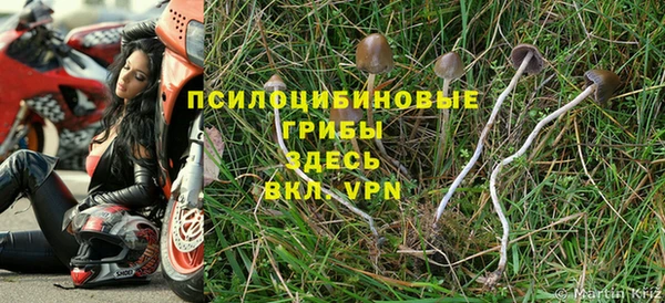 шишки Пролетарск