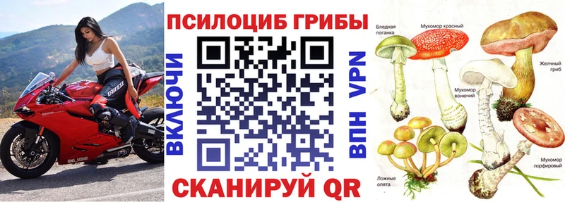 Псилоцибиновые грибы Cubensis  Данков 